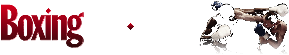 Boxing ProFight